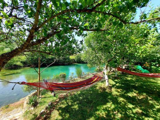 a hammock hanging from two trees next to a river at Domaćinstvo Una-Ostrovica in Kulen Vakuf