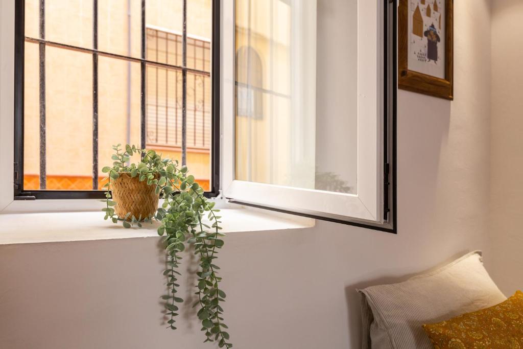 Fotografie z fotogalerie ubytování Precioso apartamento con patio y dos habitaciones en el barrio de Picasso v Malaze