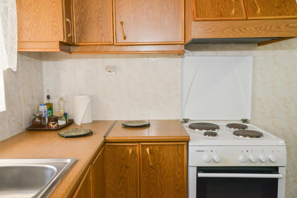 Kuchyň nebo kuchyňský kout v ubytování XALAKAS SUMMER HOUSE