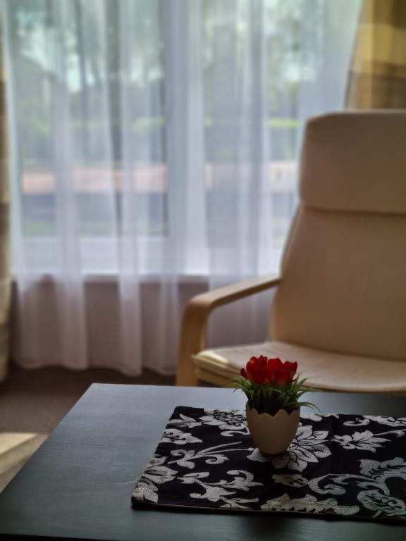 einen Tisch mit einer Blumenvase auf einem Tisch in der Unterkunft Kambarių nuoma Salantuose in Salantai