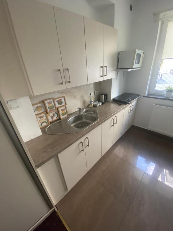 Kuchyňa alebo kuchynka v ubytovaní Apartamenty nad jeziorem charzykowskim Villa Emilia