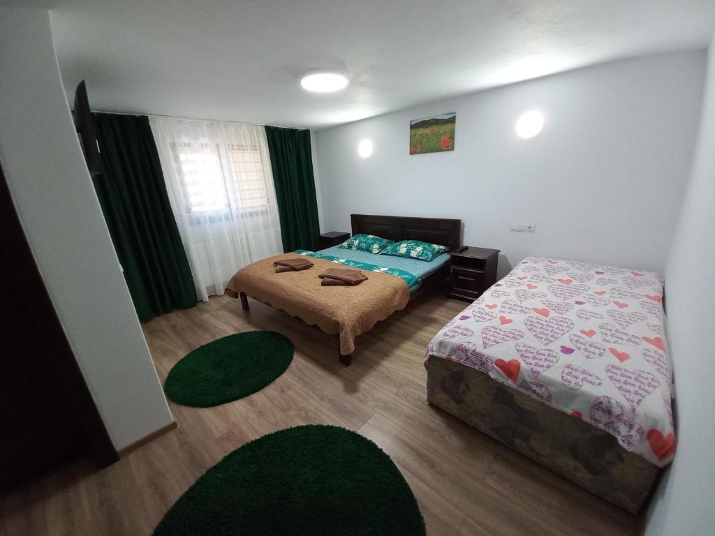 Postel nebo postele na pokoji v ubytování Casa de vacanță Perla Colibitei