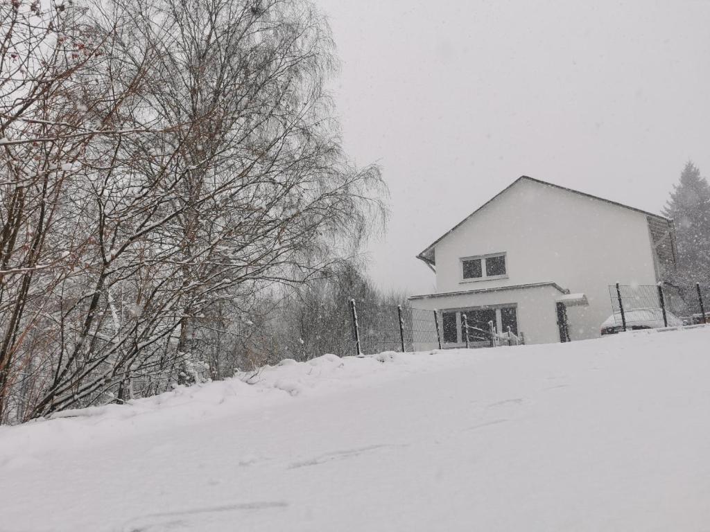 FeWo An der Elpe zwischen Winterberg und Fort Fun v zimě