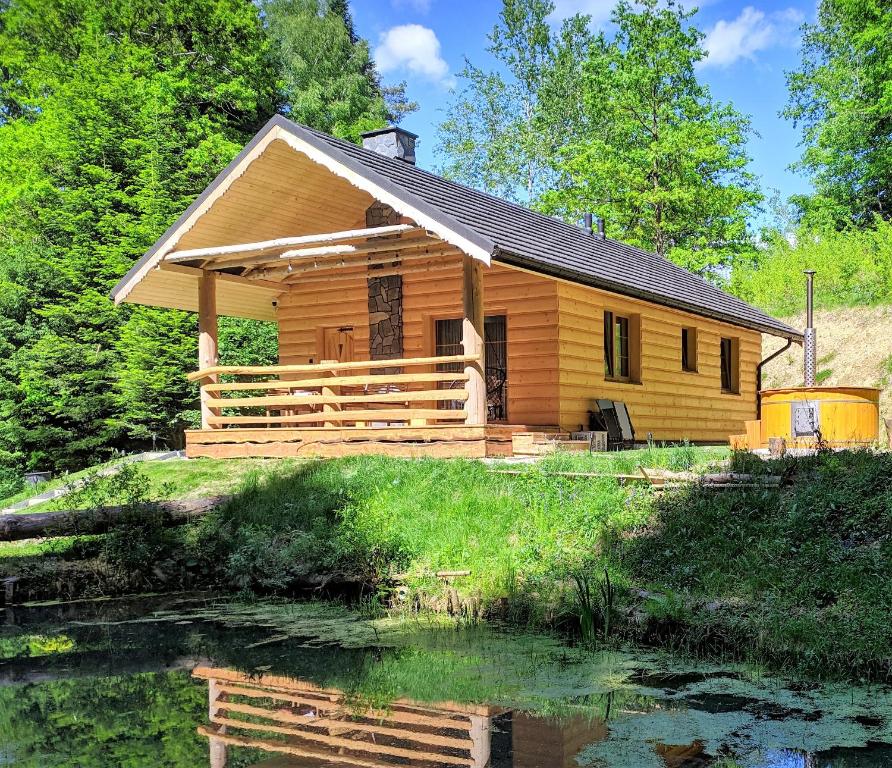 a log cabin with a pond in front of it at Bieszczady Domek Nad Stawem in Lesko