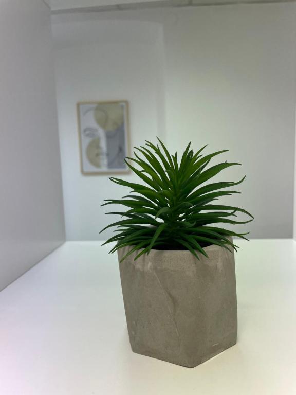 Apartment Studio Beauty in Centar - 13