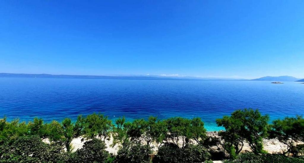 Blick auf einen großen Wasserkörper mit Bäumen in der Unterkunft Apartments Blueness in Prigradica