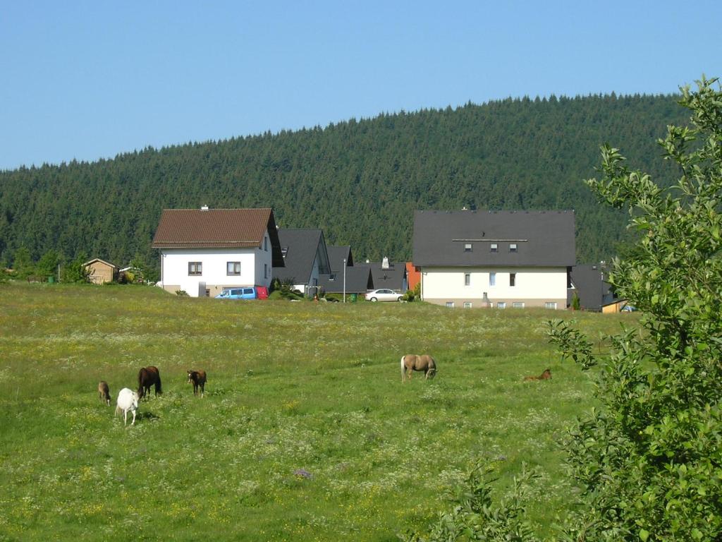 Gästehaus am Rubelsberg