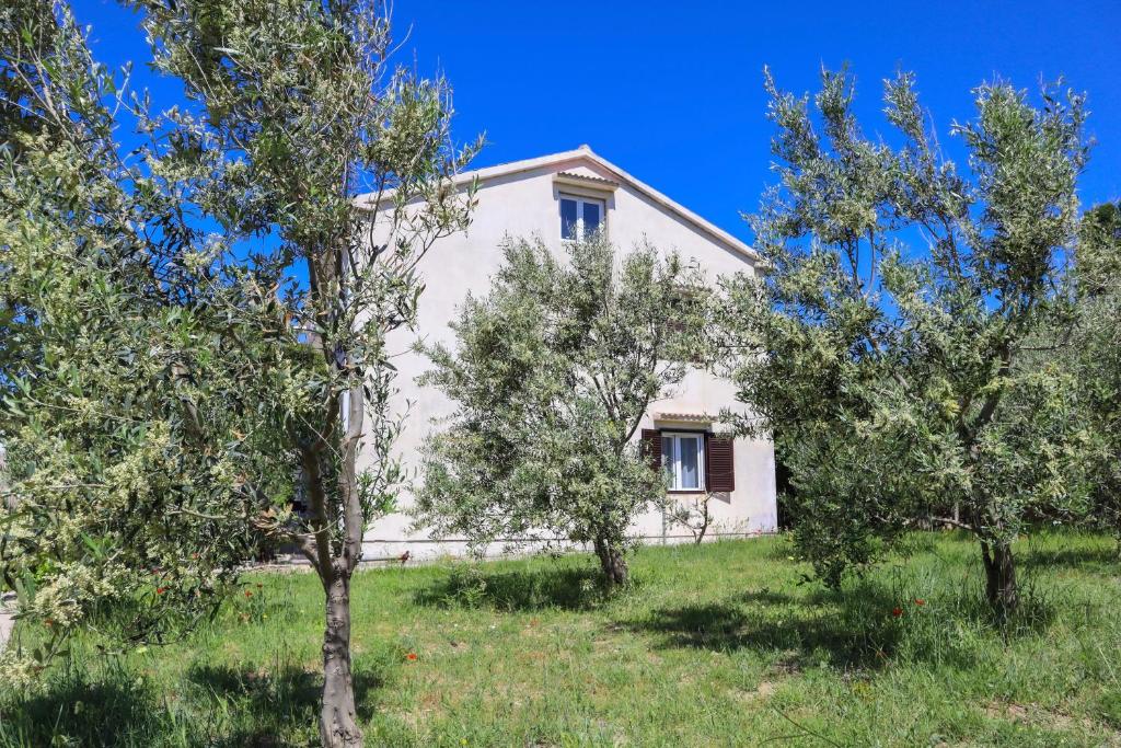 Ogród w obiekcie Apartmani Nana Mija