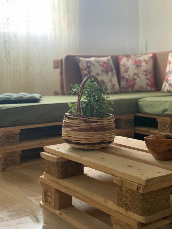 Luther House, Golem Updated 2023 Prices