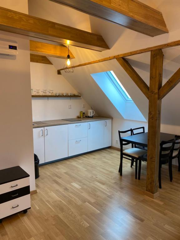 Kuchyň nebo kuchyňský kout v ubytování Apartmány na dolním konci Němčičky