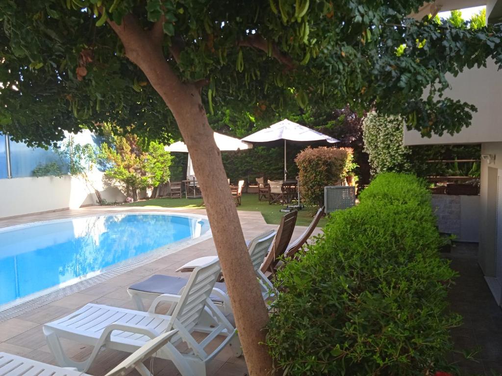 una piscina con due sedie e un albero accanto di DreamCoast Apartments I a Artemida