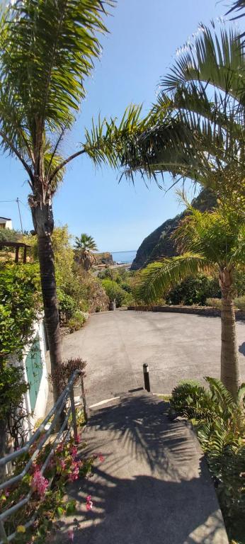 - un parking avec un banc et des palmiers dans l'établissement Paraíso Resiliente, à Santana
