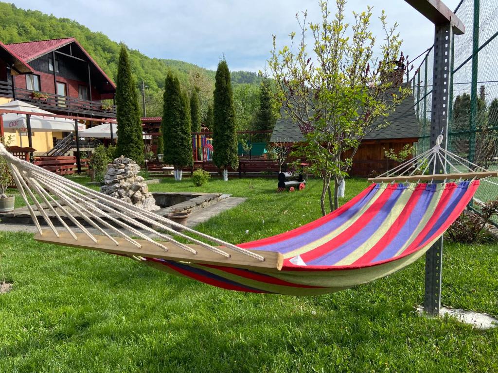 a hammock in a yard with a house at Pensiunea Montana Varlaam in Între Bîsci