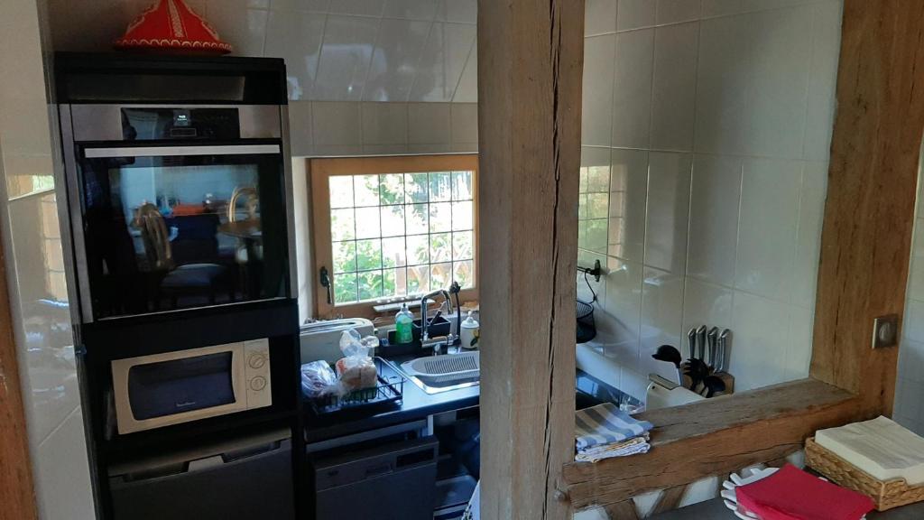 a kitchen with a sink and a microwave at Le Parc aux Oiseaux in Le Mesnil-Simon