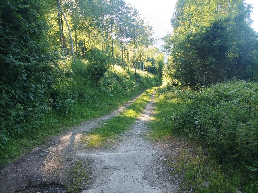 Príroda v okolí apartmánu