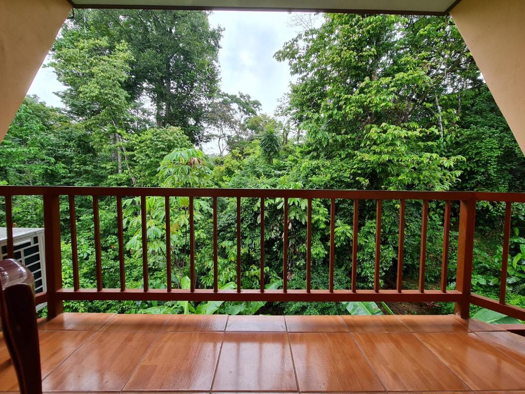 a balcony with a view of the forest at Ceiba lodge in Drake