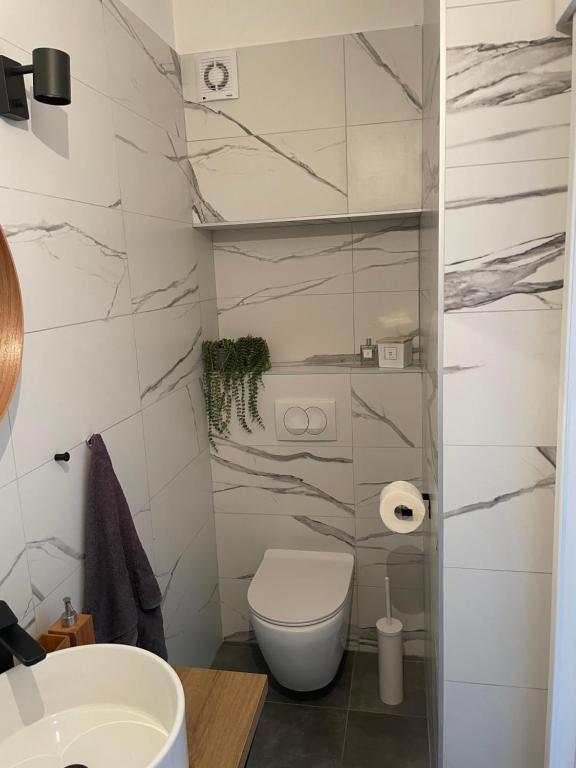 Kúpeľňa v ubytovaní Apartman David 73