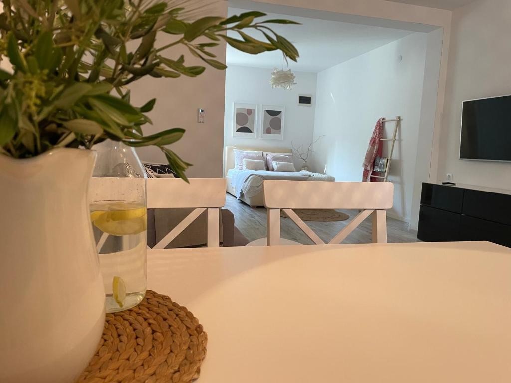 Televízia a/alebo spoločenská miestnosť v ubytovaní Apartman David 73