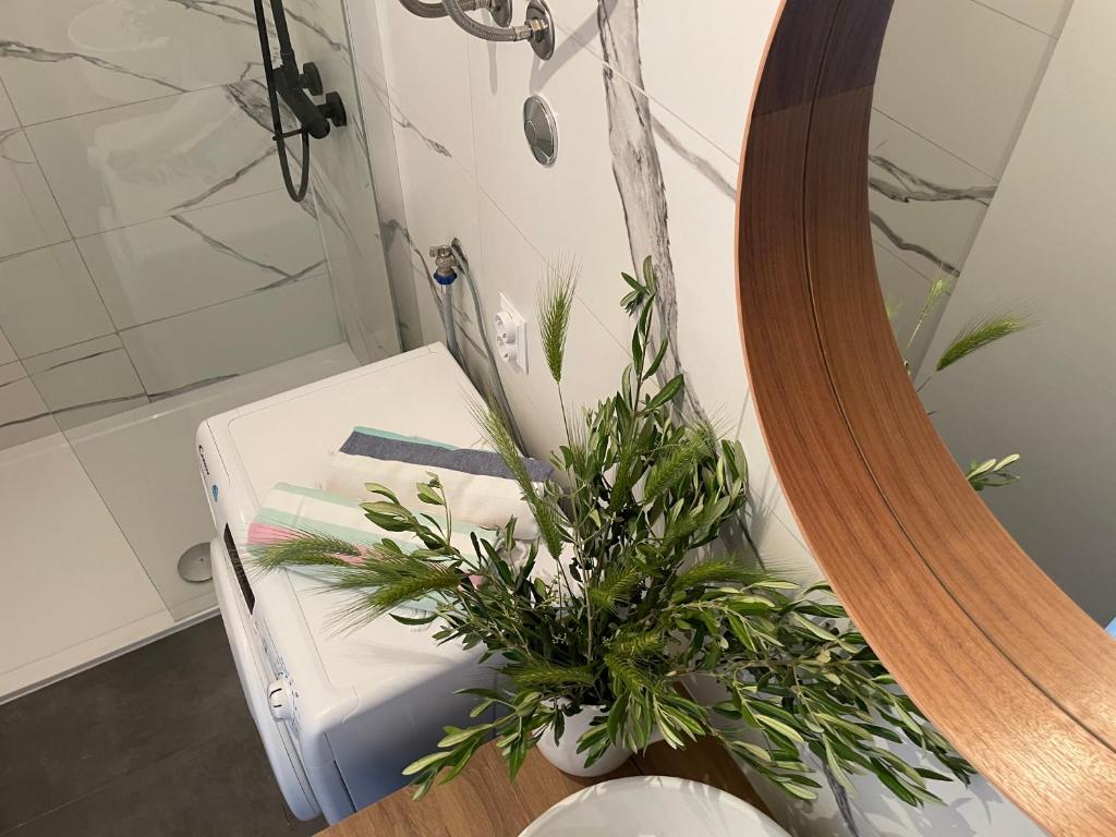 Kúpeľňa v ubytovaní Apartman David 73