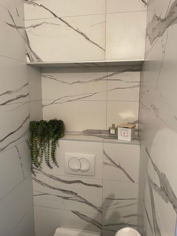 Kúpeľňa v ubytovaní Apartman David 73