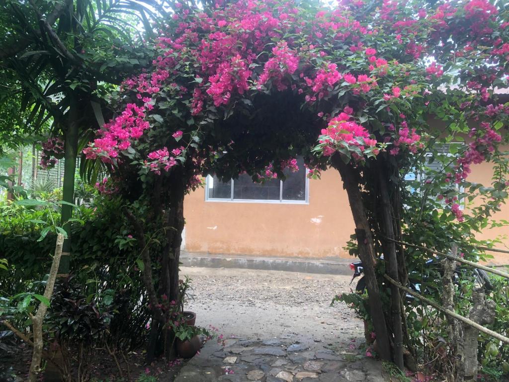 Zahrada ubytování Tara guesthouse - Sauraha,Chitwan