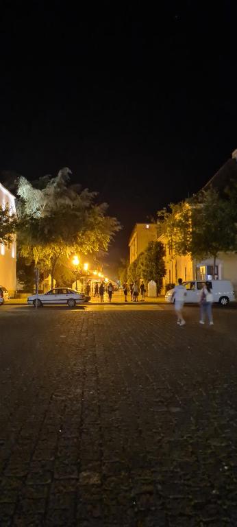 Imagem da galeria de ALES apartman em Sombor