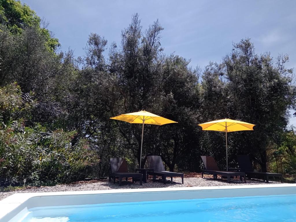 Bazén v ubytování 2 pièces "Le Brin de soleil" Gites appart 'hôtel L'ECHAPPEE BELLE D'AUBENAS Logement 1 sur 3 nebo v jeho okolí