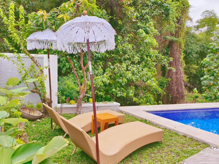 Zahrada ubytování Coco Heaven Senggigi - 2 BR Private Villa with Private Pool