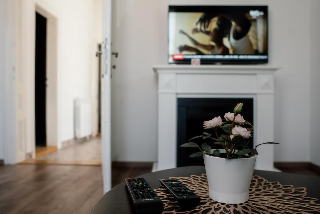 TV a/nebo společenská místnost v ubytování Spring Rustik