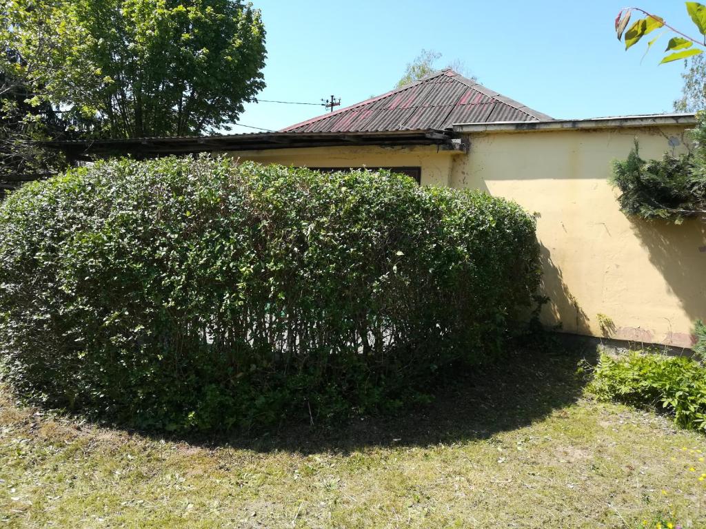 Vonkajšia záhrada v ubytovaní Retro nyaraló