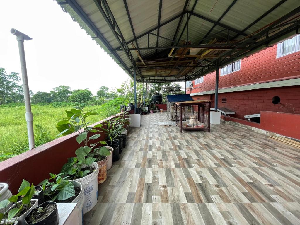 een patio met planten en een rood gebouw bij Newa Service Apartment in Siliguri