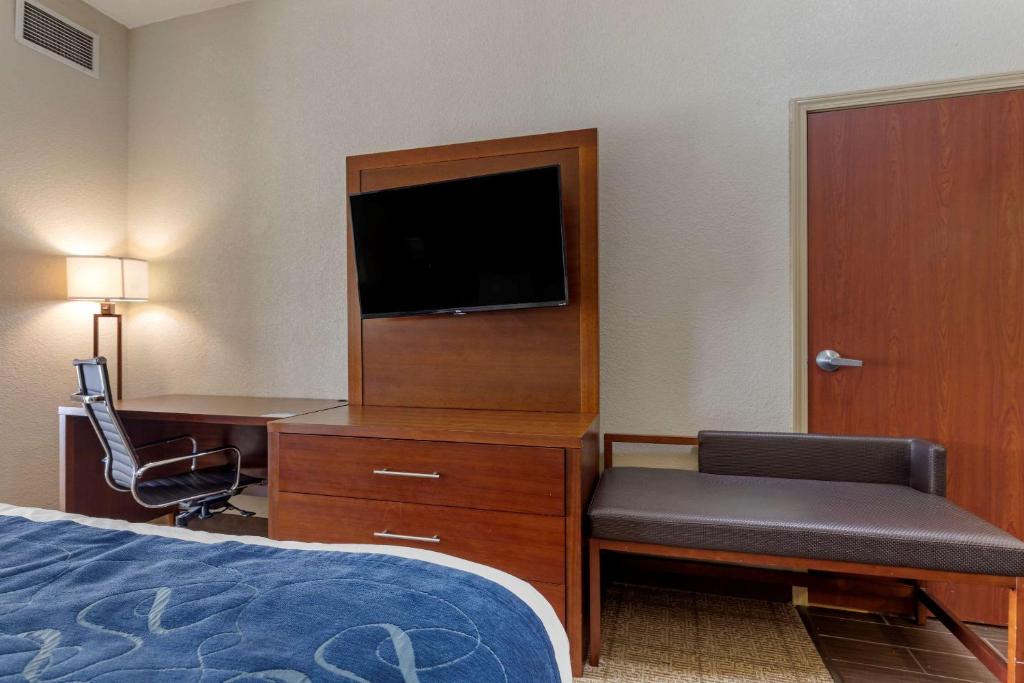 Comfort Suites Gainesville - Suíte King Com Sofá-Cama