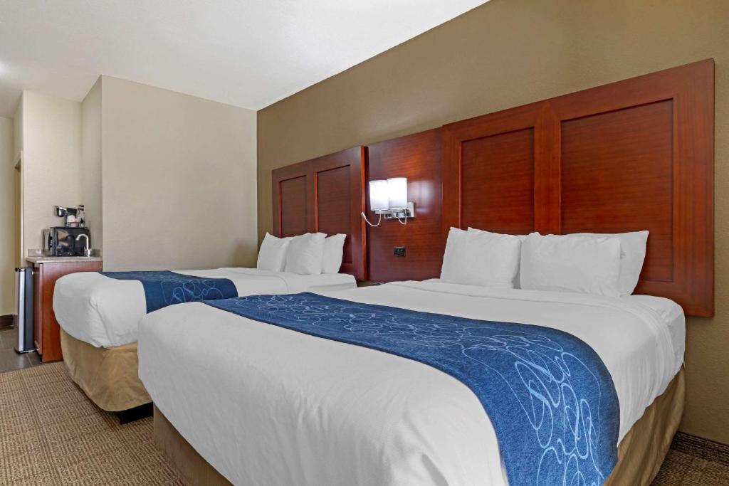 Comfort Suites Gainesville - Suíte Queen Com 2 Camas Queen-size