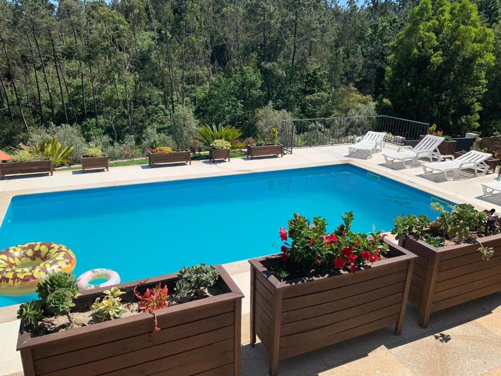una piscina con plantas nutridas de 2 pies al lado en Casa Valfonte - Moradia com piscina 