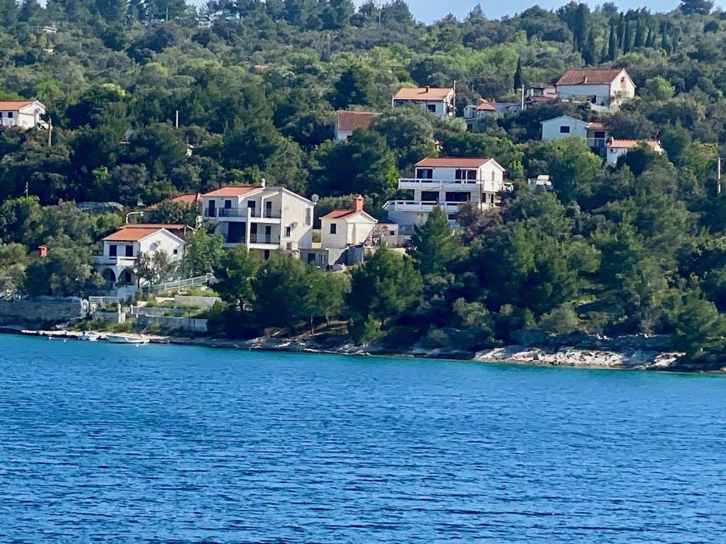 - Vistas a las casas situadas a orillas de un lago en Villa Marina with a private swimming pool right by the sea, en Veliki Drvenik