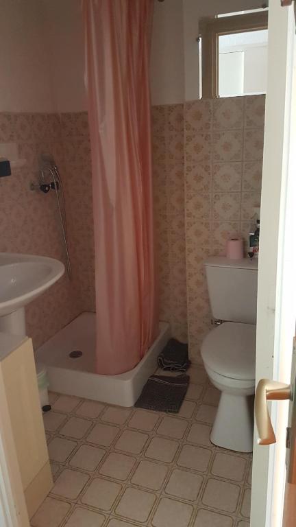 a bathroom with a toilet and a shower and a sink at Studio 4 couchages vue pistes in Gréolières les Neiges