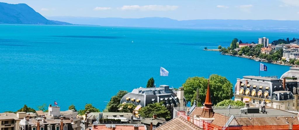 Blick auf die Stadt und einen Wasserkörper in der Unterkunft La plus belle vue du lac Léman in Montreux