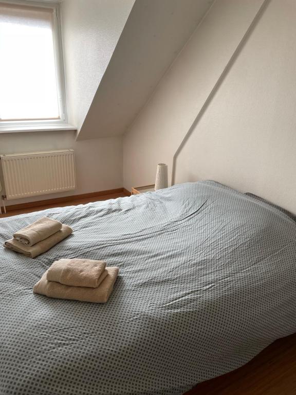 Jadore - Appartements meublés Mulhouse Ville - Квартира с двумя спальнями