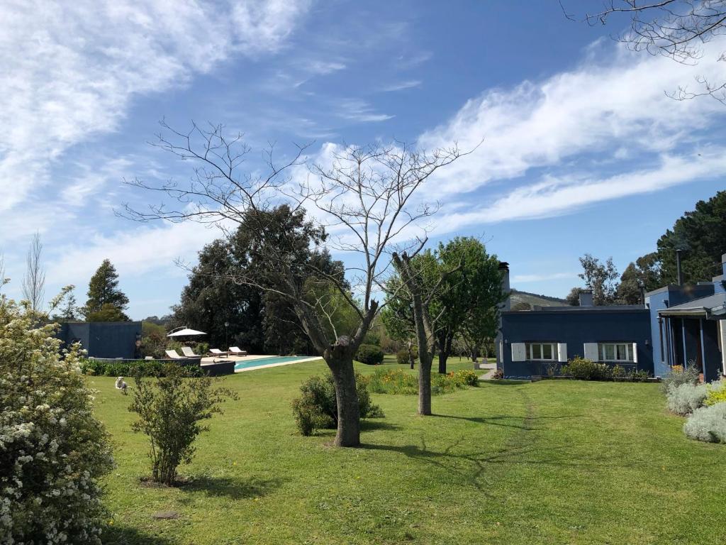 a yard with a tree and a swimming pool at Posada La Serena in Tandil