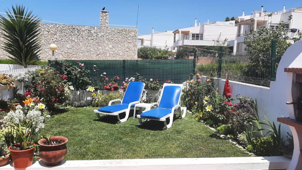 エリセイラにあるVilla Ciriaco Sea Starの花の咲く庭に座る青い椅子2脚