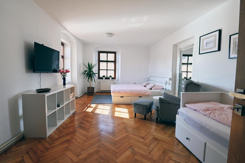 een woonkamer met een bed en een televisie bij Kutna Hora new apartment in Kutná Hora