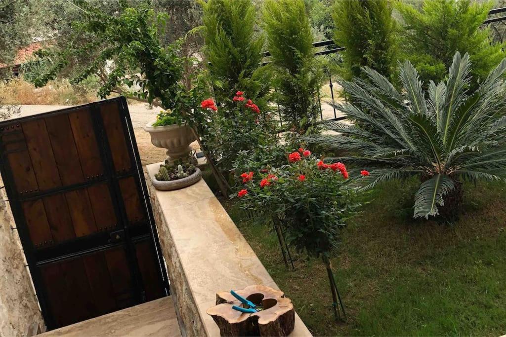 Şirin Lüks Daire / Merkez Huzur Yuvası 3+1