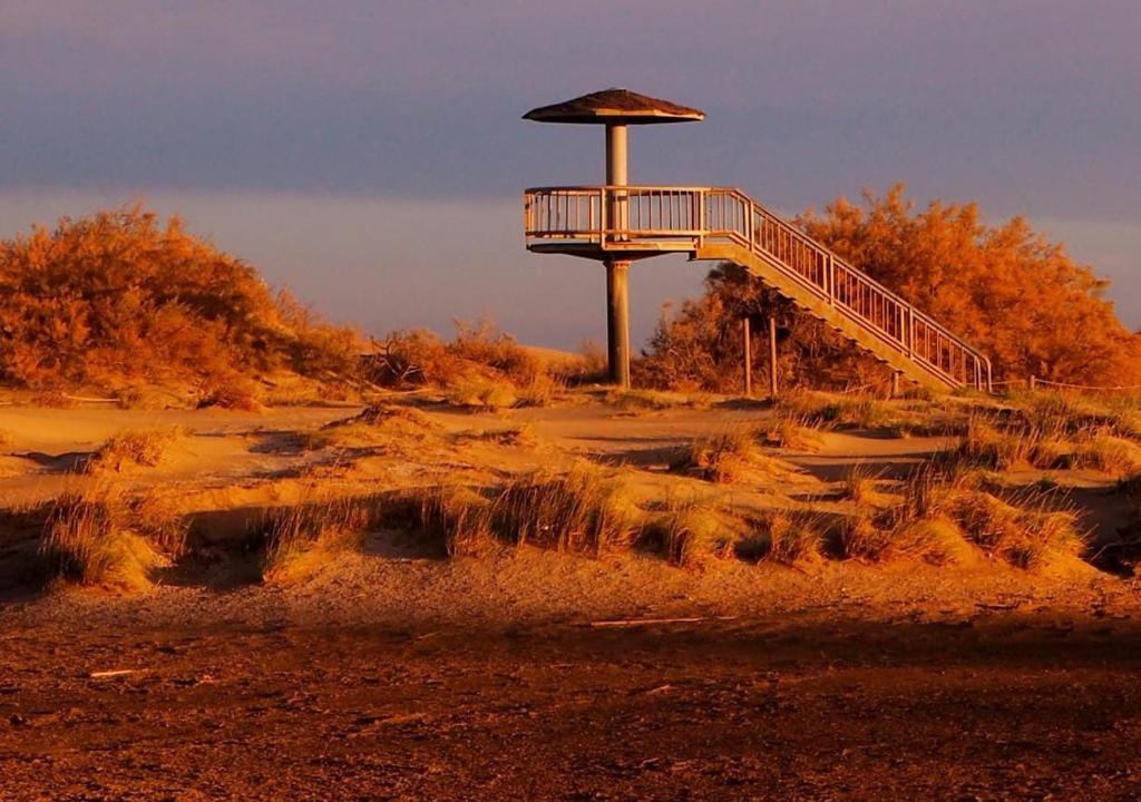 Fotografie z fotogalerie ubytování Hostal Restaurant Paca v destinaci Riumar