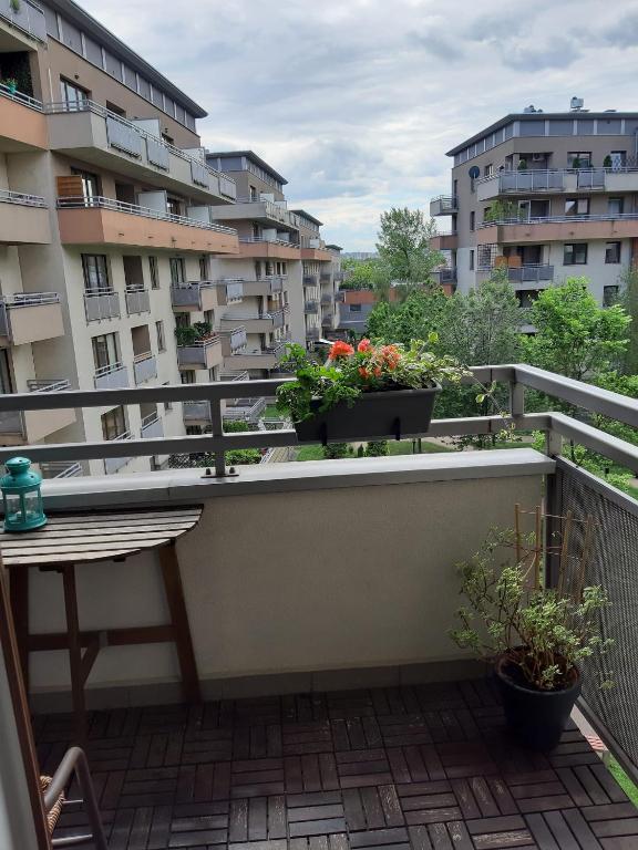 W Krakowie u Helenki - 10