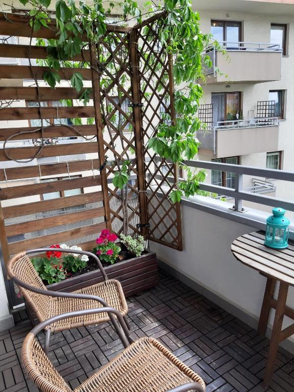 W Krakowie u Helenki - 9