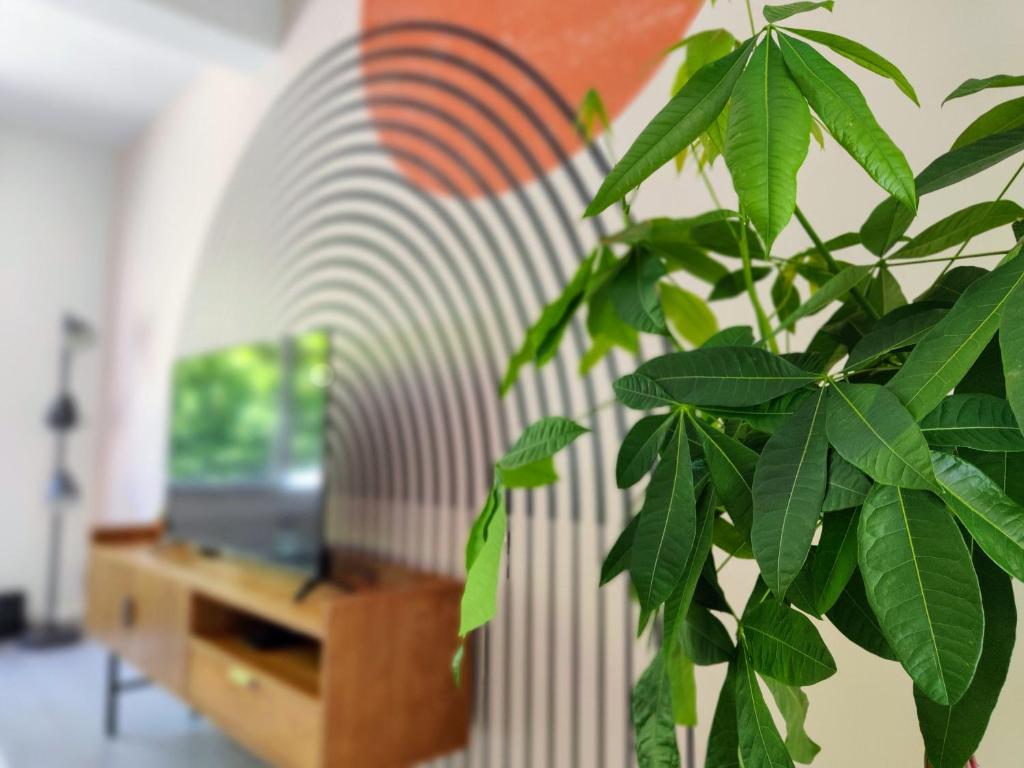 roślina przed biurkiem z komputerem w obiekcie Le Rainbow - Grand studio avec terrasse w mieście Dunkierka