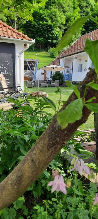 Kiskilenc Vendégház 3323 Szarvaskő, 9 Iskola utca kép - 1