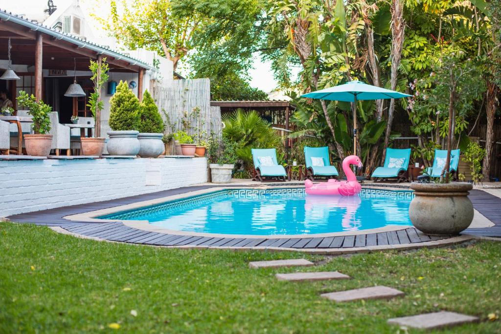 una piscina con fenicottero rosa, sedie e ombrellone di Khashamongo B & B a Somerset West