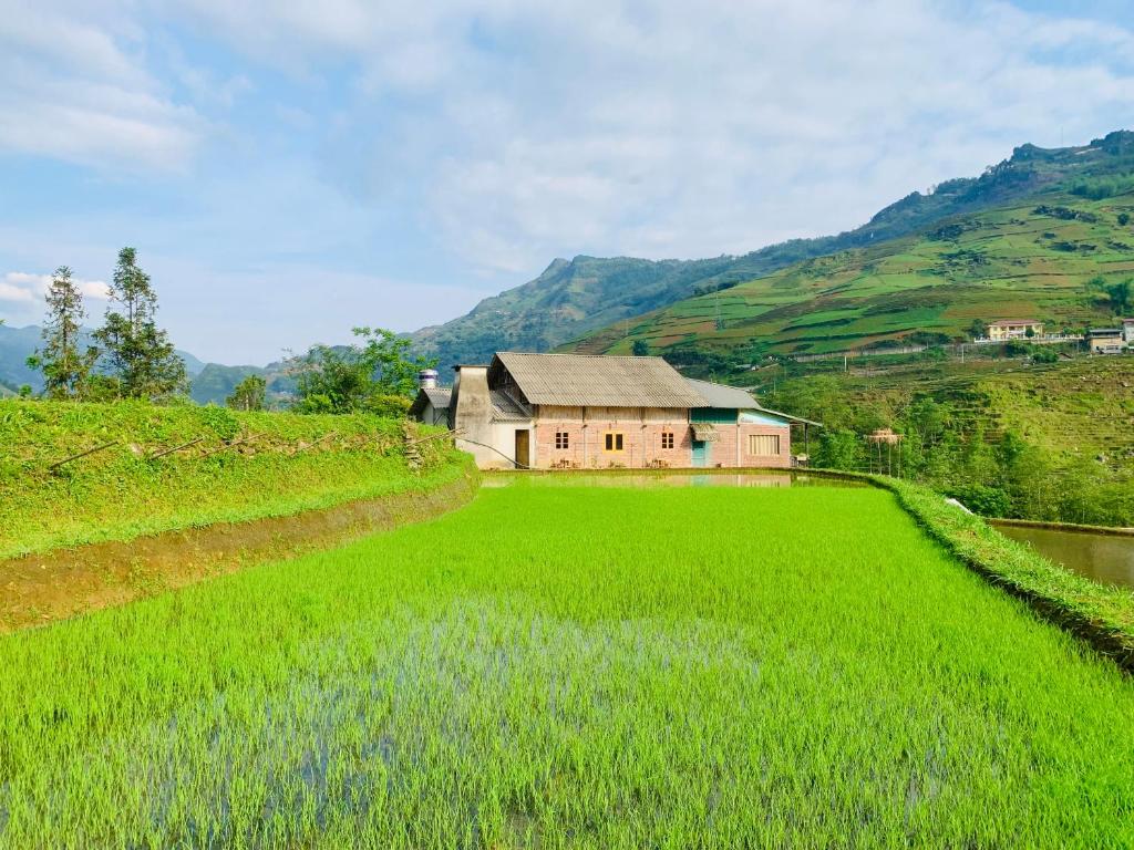 a house in a field of green grass at Ginn's House in Sa Pả