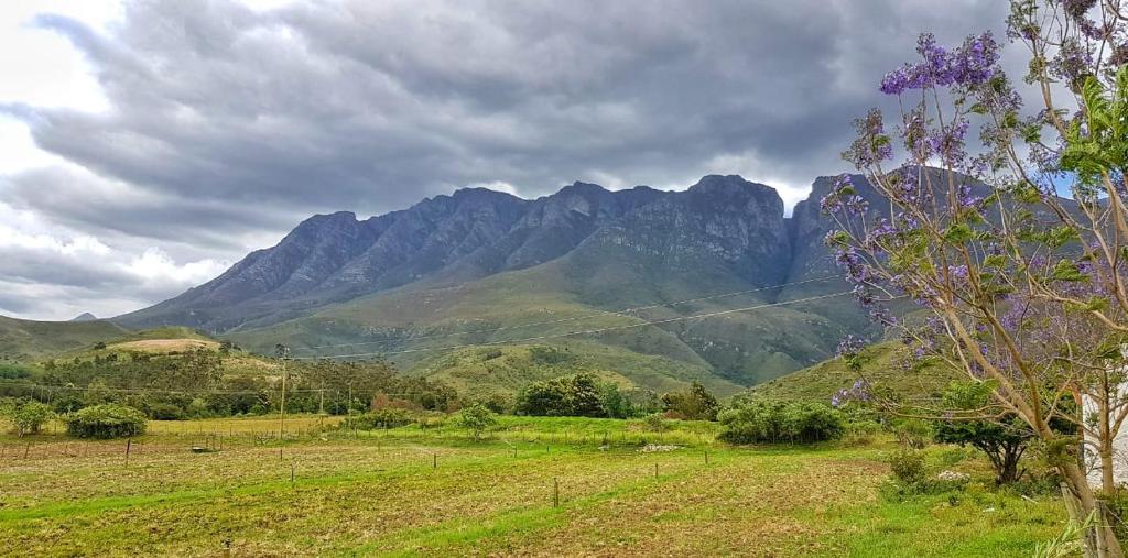 a field with a mountain range in the background at Die Hoenderhok and Die Plaashuisie in Swellendam